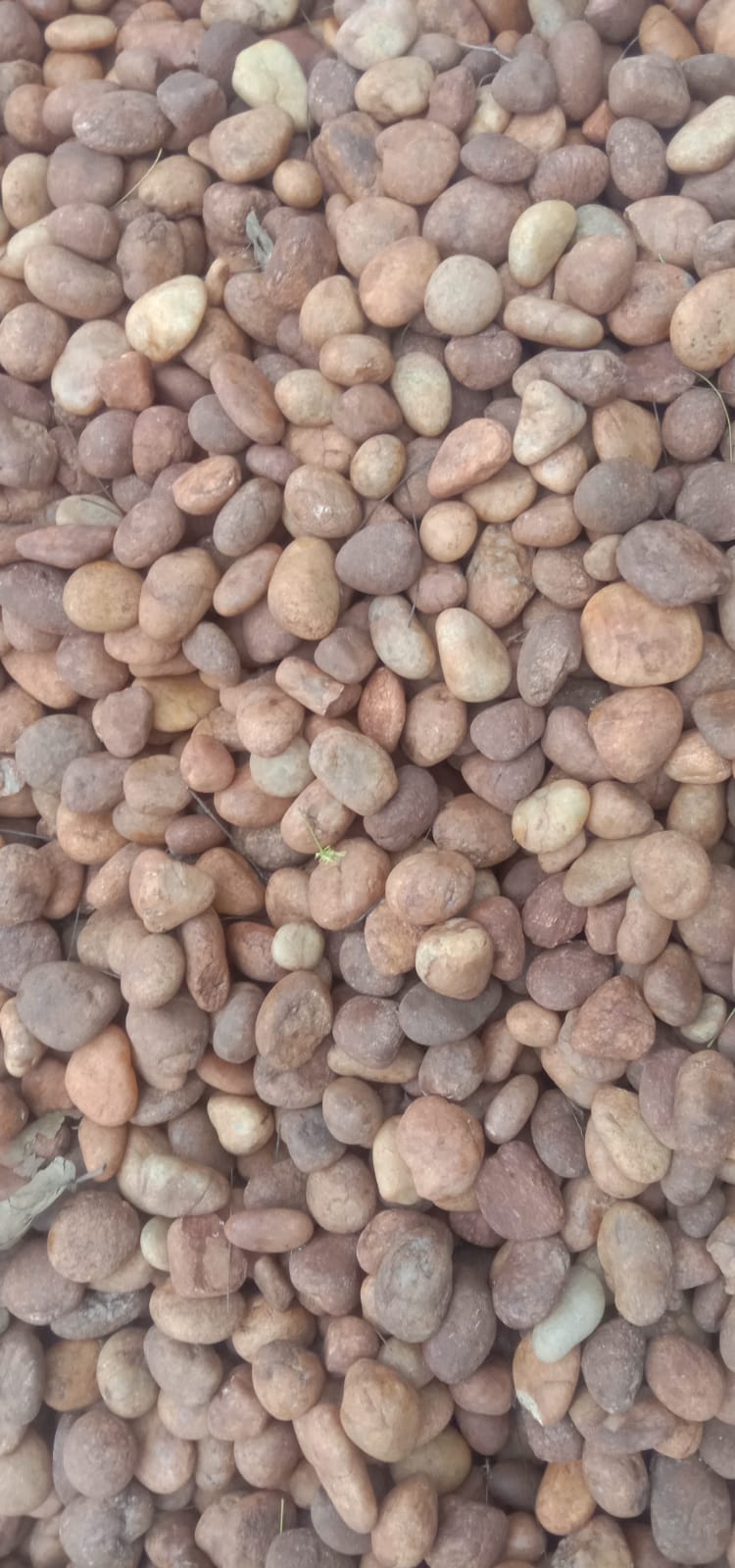 Zen pebbles